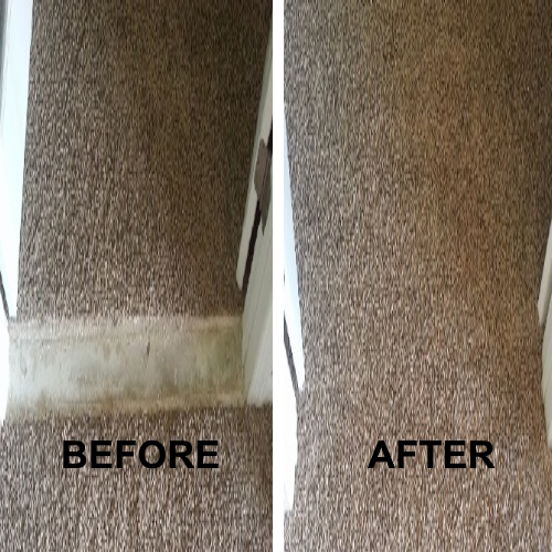 Carpet Repairs Sunshine Coast